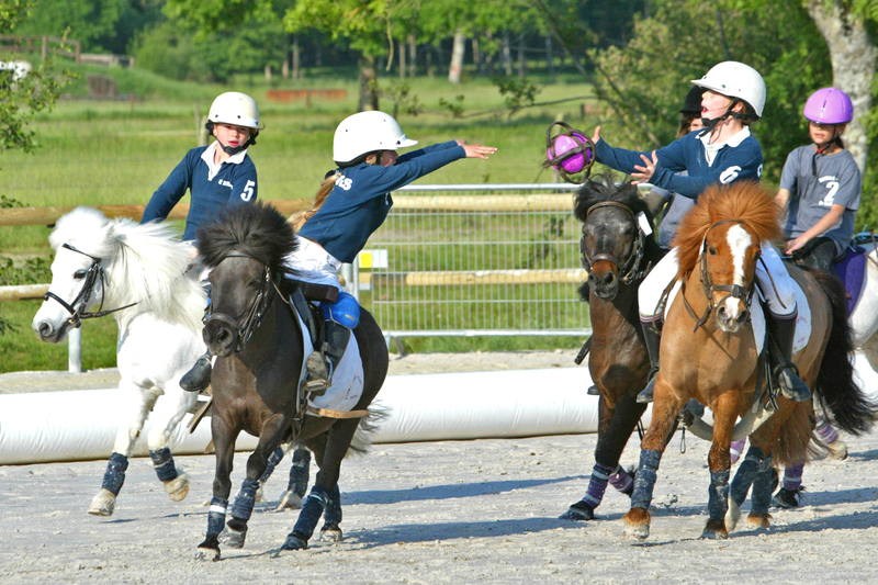 cours poneys chevaux6
